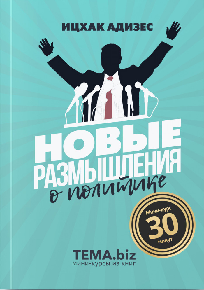 Новые размышления о политике
